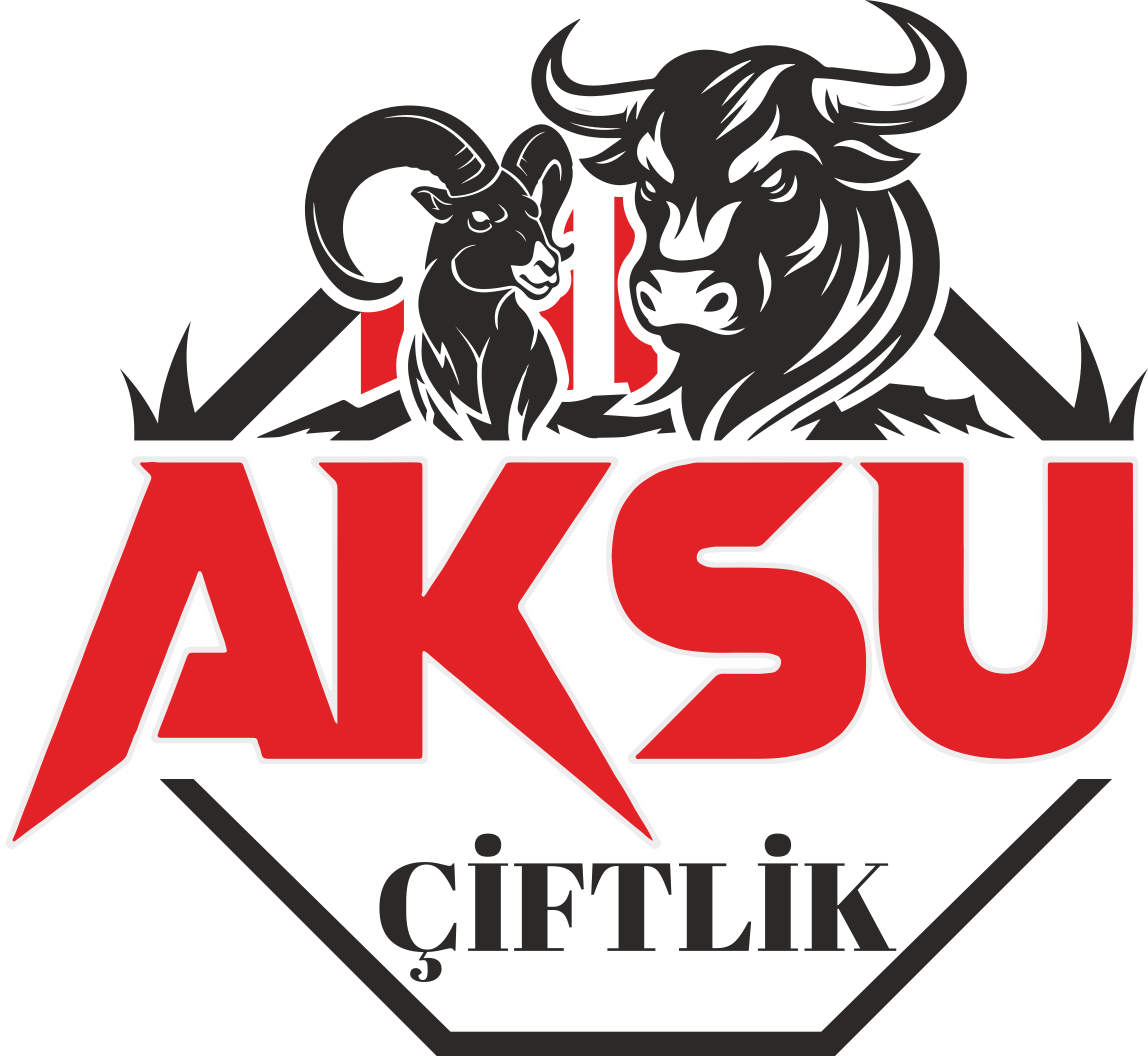 Sefa AKSU